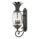 Hinkley - Plantation Outdoor Wall Light - Lights Canada