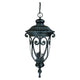 Acclaim - Naples Outdoor Pendant - Lights Canada