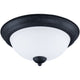 Taylor 2-Light Flush Mount
