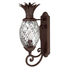 Hinkley - Plantation Outdoor Wall Light - Lights Canada
