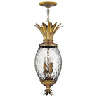 Hinkley - Plantation Pendant - Lights Canada