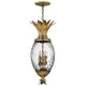 Hinkley - Plantation Pendant - Lights Canada