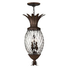 Hinkley - Plantation Pendant - Lights Canada