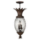 Hinkley - Plantation Pendant - Lights Canada