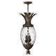 Hinkley - Plantation Pendant - Lights Canada