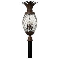 Hinkley Plantation Post Light
