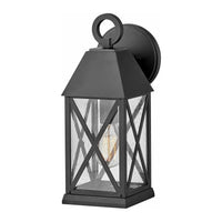 Hinkley Briar Outdoor Wall Light
