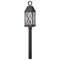 Hinkley Briar Post Light