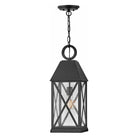Hinkley - Hinkley Briar Outdoor Pendant - Lights Canada
