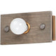 Plank 1-Light Wall Sconce