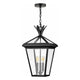 Hinkley - Hinkley Palma Outdoor Pendant - Lights Canada