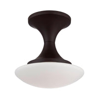 Dallner Flush Mount