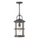 Hinkley - Hinkley Lakehouse Outdoor Pendant - Lights Canada
