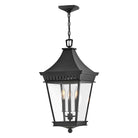Hinkley - Chapel Hill Large Hanging Lantern - Lights Canada