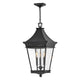 Hinkley - Chapel Hill Large Hanging Lantern - Lights Canada