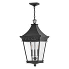 Hinkley - Chapel Hill Large Hanging Lantern - Lights Canada