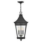 Hinkley - Chapel Hill Large Hanging Lantern - Lights Canada