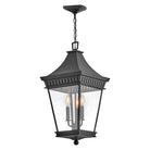 Hinkley - Chapel Hill Large Hanging Lantern - Lights Canada