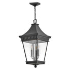 Hinkley - Chapel Hill Large Hanging Lantern - Lights Canada