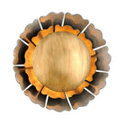 Corbett - Magic Garden Sconce - Lights Canada