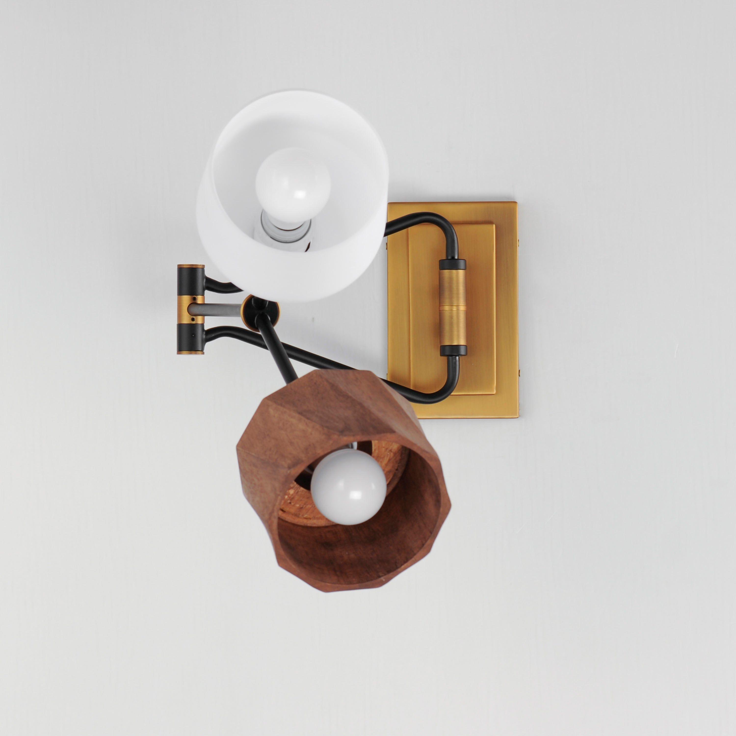 Akimbo 2-Light Swing Arm Wall Sconce