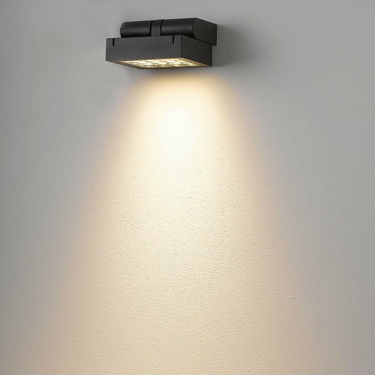 Eurofase - Bravo Outdoor Wall Light - Lights Canada