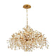 Eurofase - Campobasso Chandelier - Lights Canada
