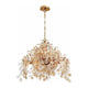 Eurofase - Campobasso Chandelier - Lights Canada