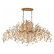 Eurofase - Campobasso Chandelier - Lights Canada