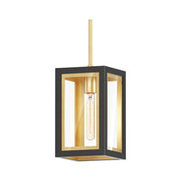 Neoclass 1-Light Outdoor Pendant