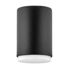 Hinkley - Hinkley Cedric Flush Mount - Lights Canada