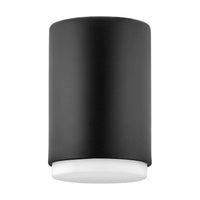 Hinkley Cedric Flush Mount