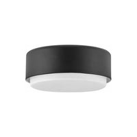 Hinkley Cedric Flush Mount