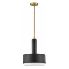 Hinkley - Hinkley Cedric Pendant - Lights Canada
