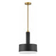 Hinkley - Hinkley Cedric Pendant - Lights Canada