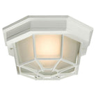 Galaxy Lighting - Outdoor Ceiling Light - Lights Canada