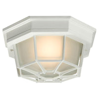 Outdoor Ceiling Light