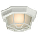Galaxy Lighting - Outdoor Ceiling Light - Lights Canada