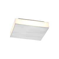 Form Flush Mount
