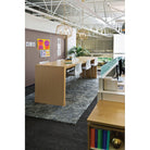 Hinkley - Astrid Chandelier - Lights Canada