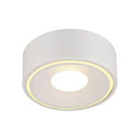 Stavro Flush Mount