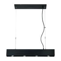 Niss Linear Suspension