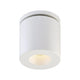 Eurofase - Lotus Flush Mount - Lights Canada
