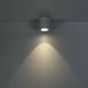 Eurofase - Lotus Flush Mount - Lights Canada