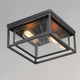 Cabana 2-Light Flush Mount