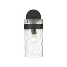 Z-Lite - Fontaine 1-Light Sconce - Lights Canada