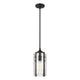 Z-Lite - Alverton 1-Light Mini Pendant - Lights Canada