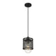 Z-Lite - Kipton 1-Light Mini Pendant - Lights Canada