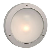 Outdoor Wall Light