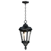 Sentry Outdoor Pendant